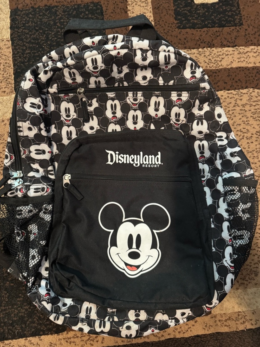 Disneyland backpack